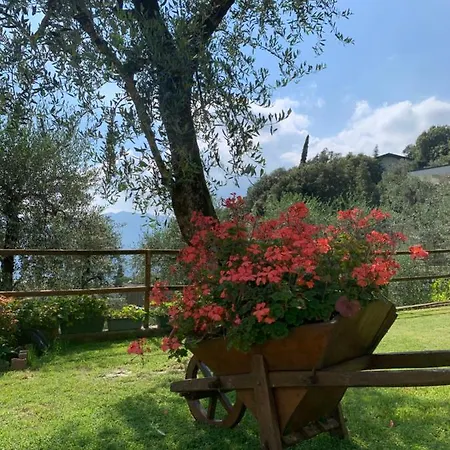 Gardenia Malcesine
