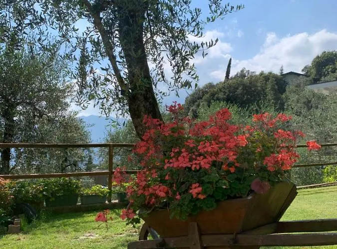 Gardenia Malcesine